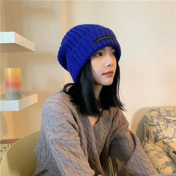 Hat Women's Autumn And Winter Patch Net Red Big Head-Blue-3