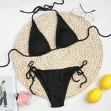 Ladies Split Swimsuit Triangle Bikini Wholesale-Black-9